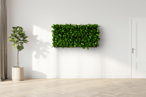 Triple Living Wall Kit in a minimalist home