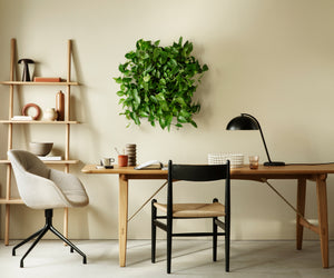 Single Living Wall Kit in a home office